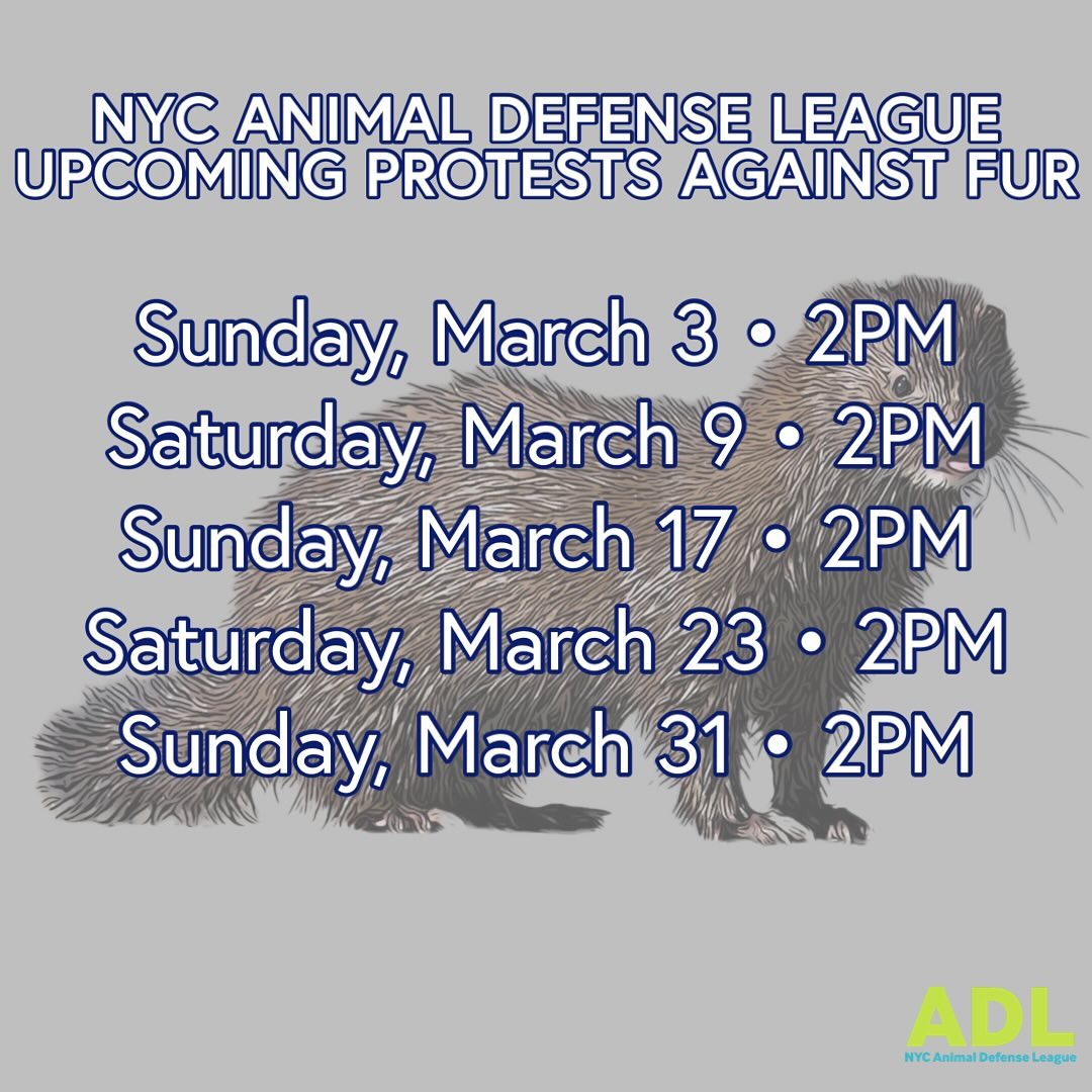 ADL protest calender for March 2024